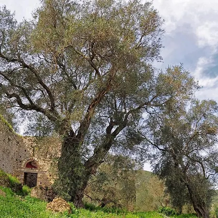 Villa Gaia